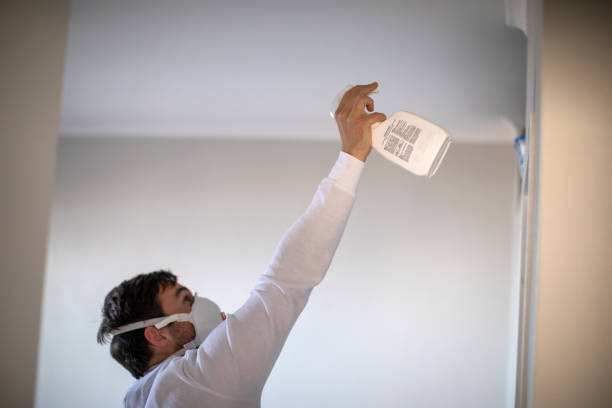 Attic Mold Removal in Moodus, CT
