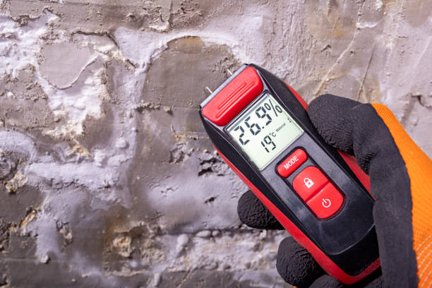 Best Commercial Mold Removal  in Moodus, CT