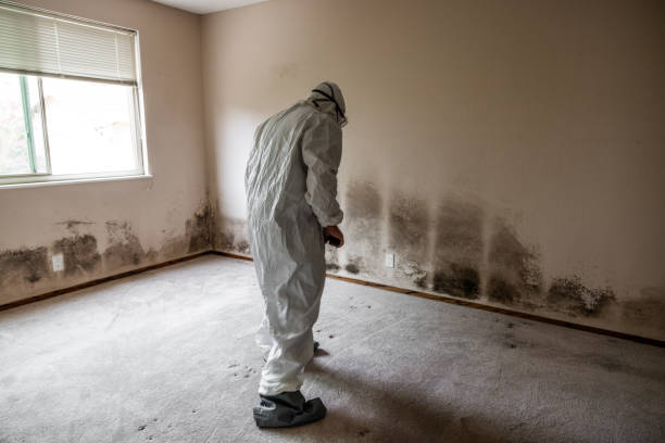 Best Water Damage Restoration  in Moodus, CT